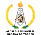 ALCALDIA DE SABANA DE TORRES