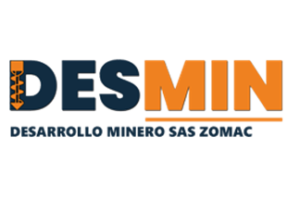 1. DESMIN SAS